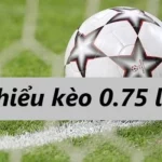 Kèo Chấp 0.75 Là Gì