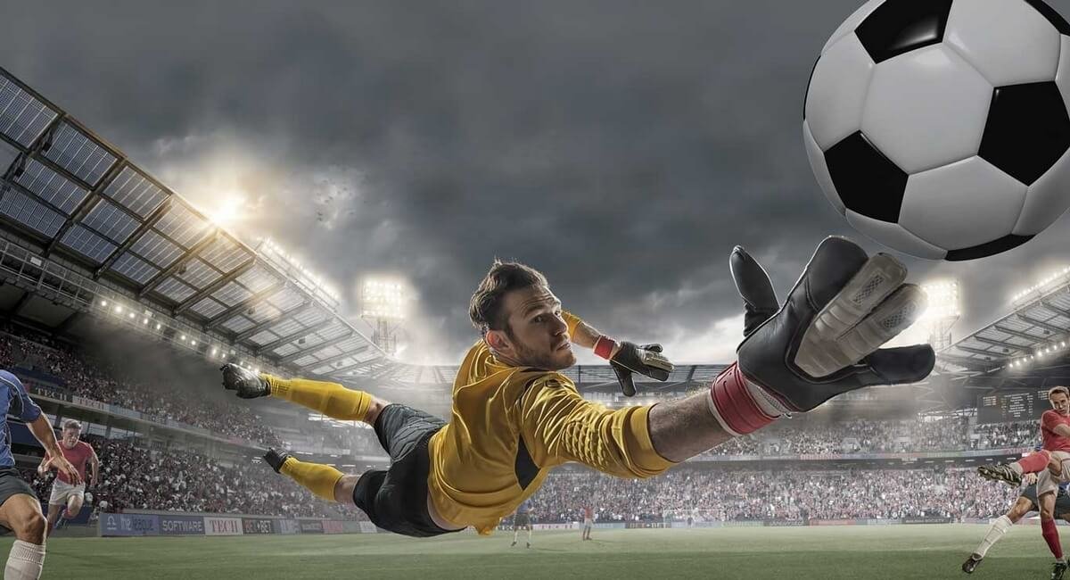 Đội Cửa Dưới Là Gì?