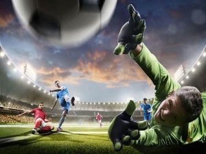Đội Cửa Trên Là Gì? 