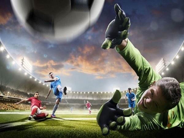 Đội Cửa Trên Là Gì?