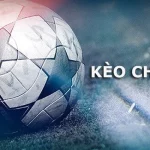 Chấp 0.25 Trái