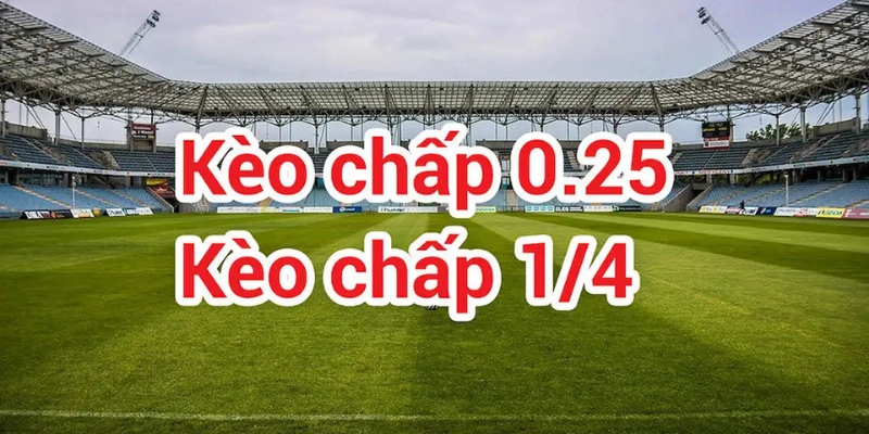 Chấp 0.25 Trái